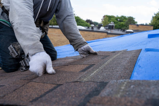 Best Roof Gutter Cleaning  in Redkey, IN